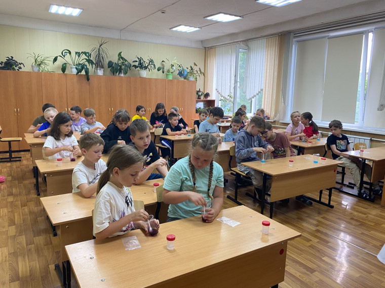 Пришкольный лагерь. День хэндгама.
